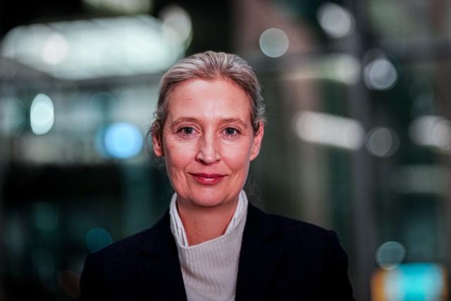 24 November 2025, Berlin: parliamentary group and federal chair of the Alternative for Germany (AfD) Alice Weidel gives an interview with journalists from the Deutsche Presse-Agentur before the start of his party's parliamentary group meeting. Photo: Kay Nietfeld/dpa