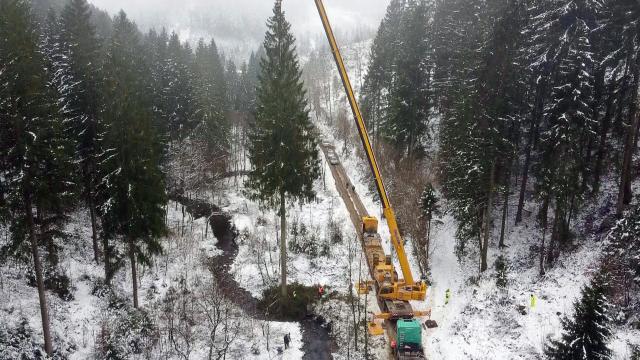 FILED - 24 November 2025, Lower Saxony, ---: An oversized spruce from the Upper Harz Mountains is felled by the Bundestag for Christmas. The Harz spruce has a height of 36 meters and stood in the Grumbach valley between Hahnenklee-Bockswiese and Wildemann in the district of Goslar. (Aerial photo taken with a drone) Photo: -/dpa