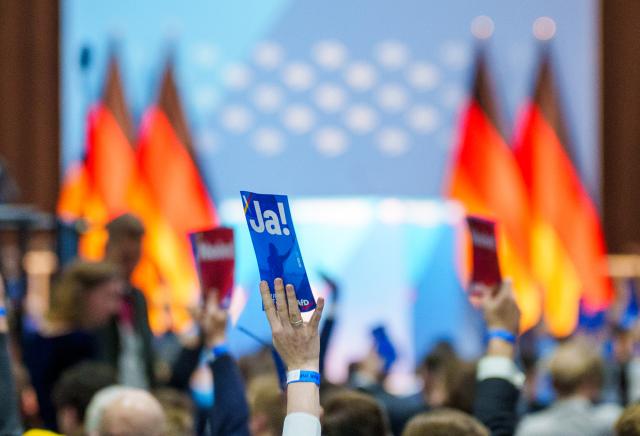 29 November 2025, Hesse, Giessen: Participants vote on a personnel issue at the founding meeting of the new AfD youth organization. Photo: Andreas Arnold/dpa