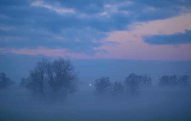 01 December 2025, Brandenburg, Jacobsdorf: Ground fog shrouds the landscape in the early morning in eastern Brandenburg as the weather in Berlin and Brandenburg shows its mild side at the start of December. Photo: Patrick Pleul/dpa