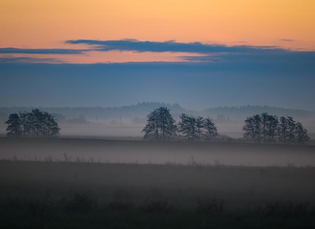 01 December 2025, Brandenburg, Jacobsdorf: Ground fog shrouds the landscape in eastern Brandenburg in the early morning as Berlin and Brandenburg experience mild weather at the start of December. Photo: Patrick Pleul/dpa