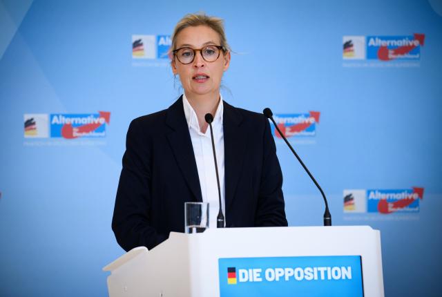 02 December 2025, Berlin: Alice Weidel, Chairwoman of the AfD parliamentary group in the German Bundestag, speaks ahead of the meeting of the AfD parliamentary group in the German Bundestag. Photo: Bernd von Jutrczenka/dpa