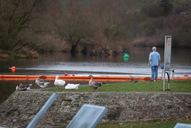 08 December 2025, Bavaria, Randersacker: Geese and a passer-by can be seen in front of an oil barrier across the Main. Diesel fuel was spilled into the Main during the shipping accident on Saturday after a passenger ship full of several hundred people was wrecked on the Main in Lower Franconia. Photo: Karl-Josef Hildenbrand/dpa