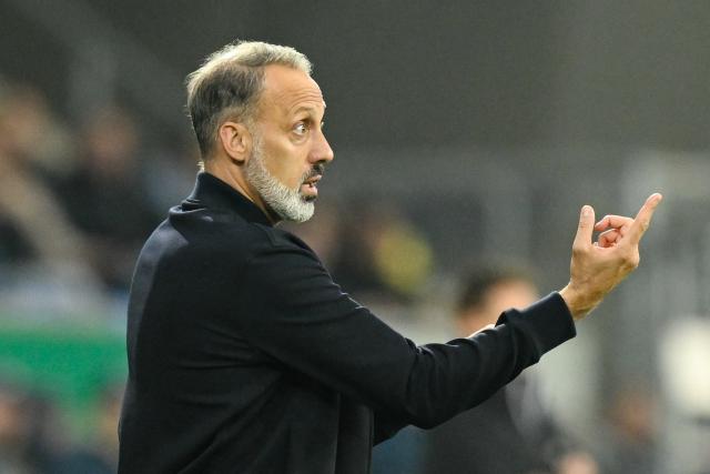 FILED - 30 October 2024, Baden-Wuerttemberg, Sinsheim: Then Hoffenheim coach Pellegrino Matarazzo gestures on the touchline during the German DFB Cup 2nd round soccer match between TSG 1899 Hoffenheim and 1. FC Nuernberg at PreZero Arena. Photo: Uwe Anspach/dpa - WICHTIGER HINWEIS: Gemäß den Vorgaben der DFL Deutsche Fußball Liga bzw. des DFB Deutscher Fußball-Bund ist es untersagt, in dem Stadion und/oder vom Spiel angefertigte Fotoaufnahmen in Form von Sequenzbildern und/oder videoähnlichen Fotostrecken zu verwerten bzw. verwerten zu lassen.