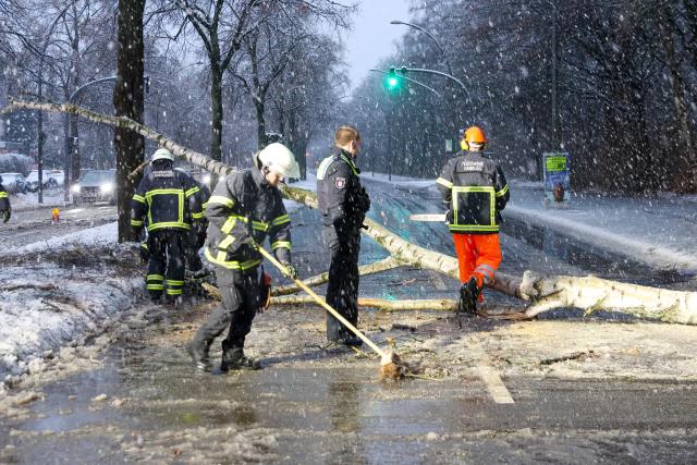 02 January 2026, Hamburg: Emergency services clear a large tree from the Alsterkrugchaussee, after it fell off and closed to traffic during snowfall. Photo: Bodo Marks/dpa