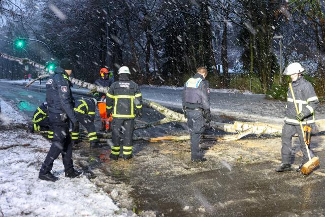 02 January 2026, Hamburg: Emergency services clear a large tree from the Alsterkrugchaussee, after it fell off and closed to traffic during snowfall. Photo: Bodo Marks/dpa