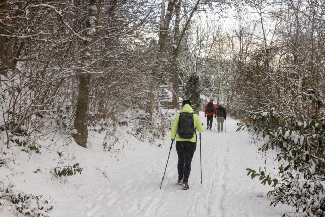 02 January 2026, Hesse, Schmitten: Several people walk along a snow-covered forest path in the Taunus, one using hiking poles, as the new year begins with winter conditions at medium altitudes. Photo: Helmut Fricke/dpa