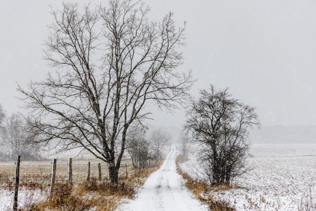 04 January 2026, Brandenburg, Leuthen: A view of the snow-covered landscape in southern Brandenburg. Photo: Frank Hammerschmidt/dpa