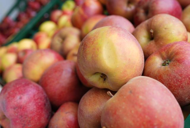 FILED - 05 January 2026, Hamburg: Apples are on display in a grocery store. Photo: Marcus Brandt/dpa