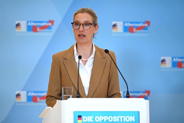 13 January 2026, Berlin: Alice Weidel, Chairwoman of the AfD parliamentary group, gives a press statement in the Bundestag. Photo: Elisa Schu/dpa