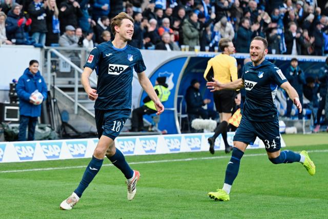 17 January 2026, Hamburg: Hoffenheim's Wouter Burger (L) celebrates scoring his side's first goal with teammate Vladimir Coufal during the German Bundesliga soccer match between Hamburger SV and Borussia Moenchengladbach at Volksparkstadion. Photo: Uwe Anspach/dpa - IMPORTANT NOTICE: DFL and DFB regulations prohibit any use of photographs as image sequences and/or quasi-video.