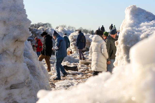 19 January 2026, Schleswig-Holstein, Geesthacht: People watch the large ice floes on the Elbe River near Geesthacht.. Photo: Bodo Marks/dpa