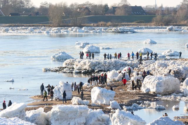 19 January 2026, Schleswig-Holstein, Geesthacht: People watch the large ice floes on the Elbe River near Geesthacht.. Photo: Bodo Marks/dpa