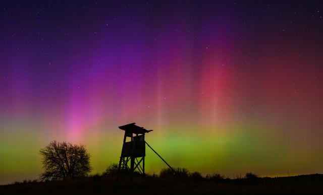 20 January 2026, Brandenburg, Petersdorf: Northern lights shine in the night sky over the landscape in eastern Brandenburg. Photo: Patrick Pleul/dpa