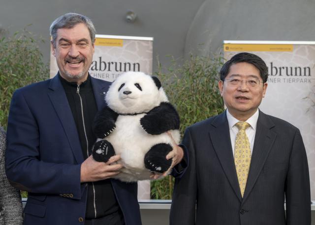 21 January 2026, Bavaria, Munich: Markus Soeder, (L) Prime Minister of Bavaria, and Hongbo Deng, Ambassador of China, greet each other before the start of a press conference at Hellabrunn Zoo. Soeder has confirmed two giant panda bears for Munich's Hellabrunn Zoo. The animals are on loan from China and will move in by 2028 at the latest. Photo: Peter Kneffel/dpa