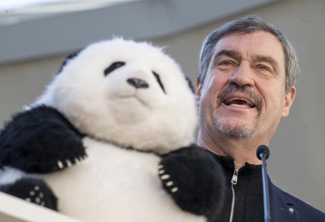 21 January 2026, Bavaria, Munich: Markus Soeder, (L) Prime Minister of Bavaria, holds a stuffed panda during a press conference at Hellabrunn Zoo. Soeder has confirmed two giant panda bears for Munich's Hellabrunn Zoo. The animals are on loan from China and will move in by 2028 at the latest. Photo: Peter Kneffel/dpa