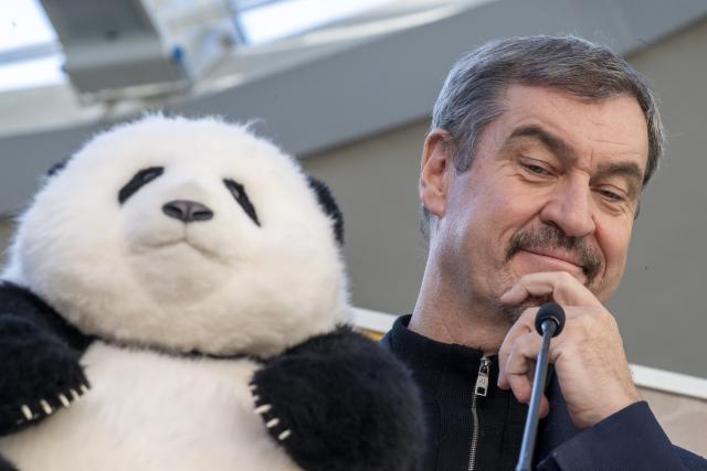 21 January 2026, Bavaria, Munich: Markus Soeder, (L) Prime Minister of Bavaria, holds a stuffed panda during a press conference at Hellabrunn Zoo. Soeder has confirmed two giant panda bears for Munich's Hellabrunn Zoo. The animals are on loan from China and will move in by 2028 at the latest. Photo: Peter Kneffel/dpa