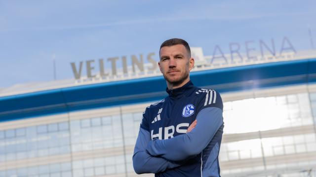22 January 2026, North Rhine-Westphalia, Gelsenkirchen: Edin Dzeko stands on the pitch in front of the Veltins-Arena arena after joining German second Bundesliga club Schalke 04. Photo: Rolf Vennenbernd/dpa - IMPORTANT NOTE: In accordance with the regulations of the DFL German Football League and the DFB German Football Association, it is prohibited to utilize or have utilized photographs taken in the stadium and/or of the match in the form of sequential images and/or video-like photo series.