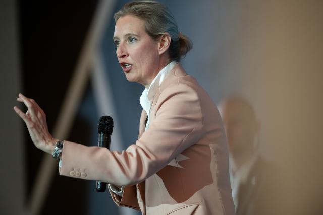 24 January 2026, North Rhine-Westphalia, Muelheim an der Ruhr: Alternative for Germany (AfD) federal chairwoman Alice Weidel speaks on stage during the AfD's elected representatives' congress in North Rhine-Westphalia. Photo: Fabian Strauch/dpa