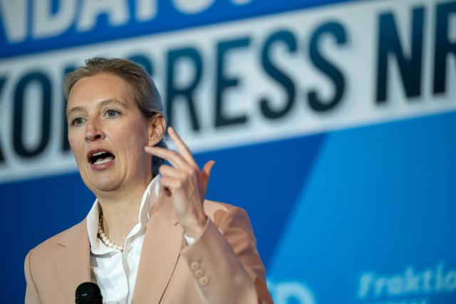 24 January 2026, North Rhine-Westphalia, Muelheim an der Ruhr: Alternative for Germany (AfD) federal chairwoman Alice Weidel speaks on stage during the AfD's elected representatives' congress in North Rhine-Westphalia. Photo: Fabian Strauch/dpa