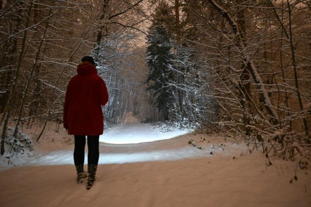 PRODUCTION - 25 January 2026, Baden-Wuerttemberg, Stuttgart: A woman walks through a snow-covered city forest at night, using a flashlight. Photo: Bernd Weißbrod/dpa