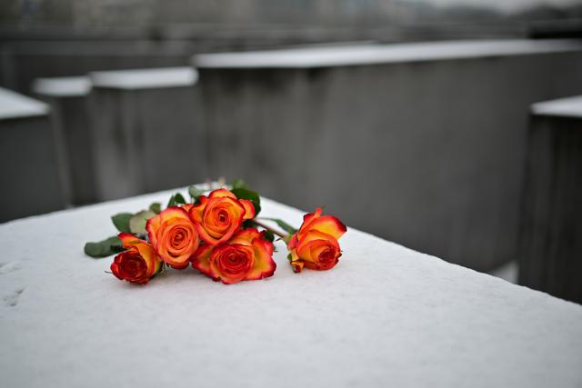 27 January 2026, Berlin: Roses lie on a stele at the Memorial to the Murdered Jews of Europe on International Holocaust Memorial Day in Memory of the Victims. Photo: Sebastian Gollnow/dpa