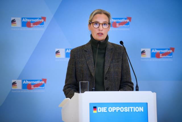 27 January 2026, Berlin: Alice Weidel, Chairwoman of the Alternative for Germany (AfD) parliamentary group, speaks ahead of the AfD parliamentary group meeting at the German Parliament (Bundestag) . Photo: Bernd von Jutrczenka/dpa