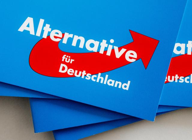 FILED - 10 September 2016, Rendsburg: The logo of the Alternative for Germany (AfD) party is pictured at a party conference. Photo: Markus Scholz/dpa