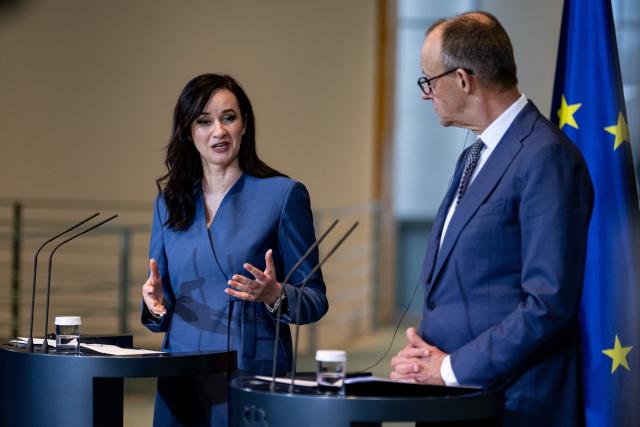 29 January 2026, Berlin: German Chancellor Friedrich Merz holds a joint press conference with Inga Ruginiene, Prime Minister of Lithuania, at the German Chancellery in Berlin. Photo: Fabian Sommer/dpa
