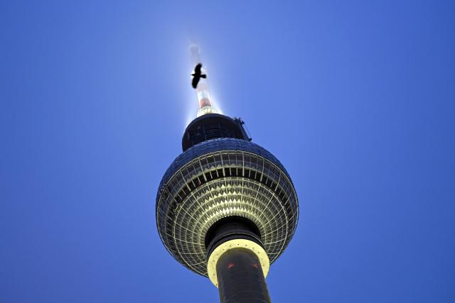 29 January 2026, Berlin: A crow flies in front of the Berlin television tower. Photo: Lilli Förter/dpa