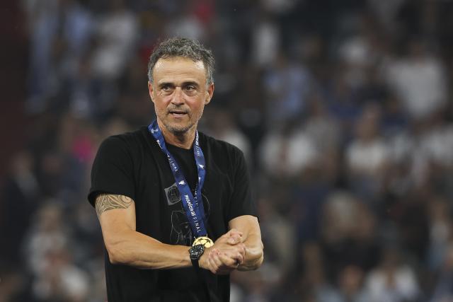 FILED - 31 May 2025, Bavaria, Munich: Paris Saint-Germain coach Luis Enrique is pictured during the UEFA Champions League final soccer match between Inter Milan and Paris Saint-Germain at Munich Football Arena. Photo: Christian Charisius/dpa