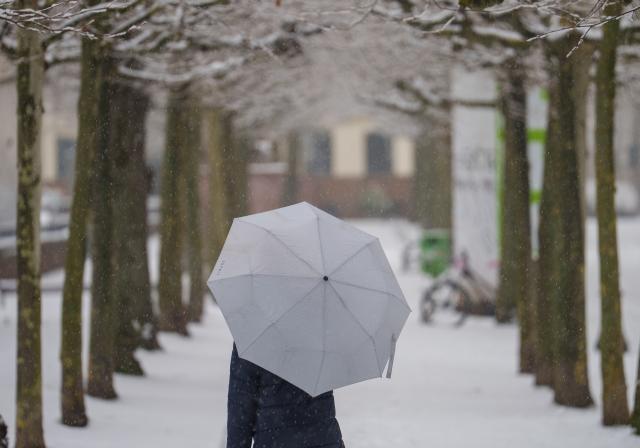 03 February 2026, Rhineland-Palatinate, Mainz: A woman walks with an umbrella on the snow-covered Kupferberg terraces. Photo: Andreas Arnold/dpa