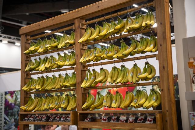 10 February 2026, Bavaria, Nuremberg: Organic bananas are exhibited at a stand at Biofach. Start of the Biofach trade fair for organic food and Vivaness, the trade fair for natural cosmetics. Photo: Daniel Vogl/dpa