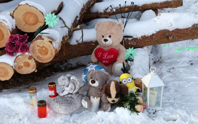 16 February 2026, Mecklenburg-Western Pomerania, Kuchelmiss: Grave lights and cuddly toys stand at a woodpile where an 11-year-old boy died in a sledging accident on 15.02.2026. A boy was being pulled behind a car on a homemade sledge in the district of Rostock - then there was a fatal accident. Other children were injured. Photo: Bernd Wüstneck/dpa
