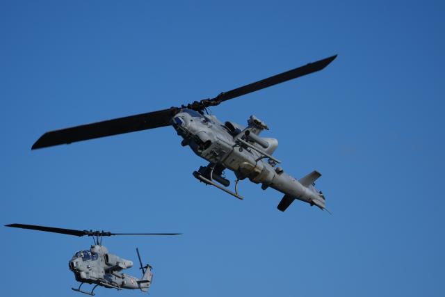 18 February 2026, Schleswig-Holstein, Putlos: Combat helicopters fly over the military training area on the Baltic Sea coast during the NATO maneuver Steadfast Dart. Photo: Marcus Brandt/dpa