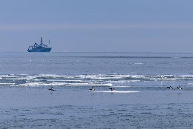 FILED - 18 February 2026, Schleswig-Holstein, Eckernförde: A general view of the Baltic Sea near Eckernfoerde. The Baltic Sea has less water than it has had in 140 years. Photo: Ulrich Perrey/dpa