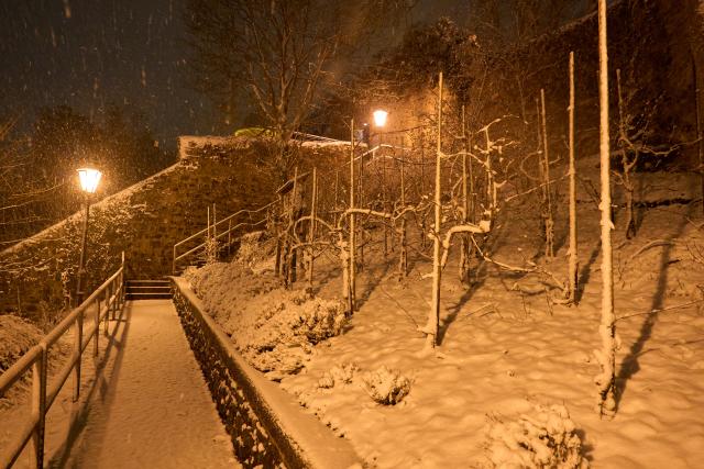 19 February 2026, Rhineland-Palatinate, Montabaur: Fresh snow covers parts of the Schlossberg at Schloss Montabaur. Photo: Sascha Ditscher/dpa