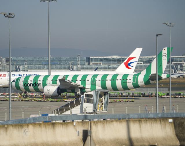FILED - 27 February 2026, Hesse, Frankfurt/Main: A Condor aircraft stands on the apron of Terminal 3 (T3) at Rhine-Main Airport. Photo: Andreas Arnold/dpa