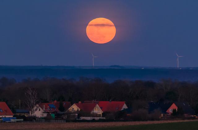 03 March 2026, Brandenburg, Frankfurt (Oder): The full blood moon rises in the sky over eastern Brandenburg. Photo: Patrick Pleul/dpa