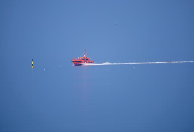10 March 2026, Mecklenburg-Vorpommern, Timmendorf (poel): The pilot boat "Pilot Petermann" enters the small harbor on the Baltic Sea island of Poel in thick fog. Photo: Jens Büttner/dpa