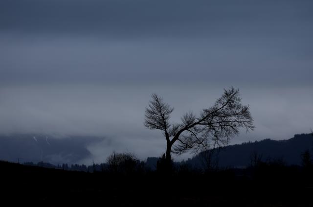 12 March 2026, Bavaria, Stoetten: The sky is overcast behind a bare tree in the Allgaeu Alpine foothills. Photo: Karl-Josef Hildenbrand/dpa