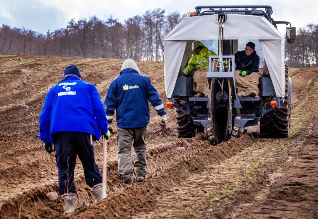 16 March 2026, Mecklenburg-Western Pomerania, Eickelberg: Minister of Agriculture, Environment, and Climate Protection for Mecklenburg-Western Pomerania Till Backhaus (R) works on a new type of planting machine designed for the initial afforestation of new forest areas. The machine is being used by the Guestrow-based Garden, Landscape, and Forestry Company (GALAFO) to establish a future forest area. Photo: Jens Büttner/dpa