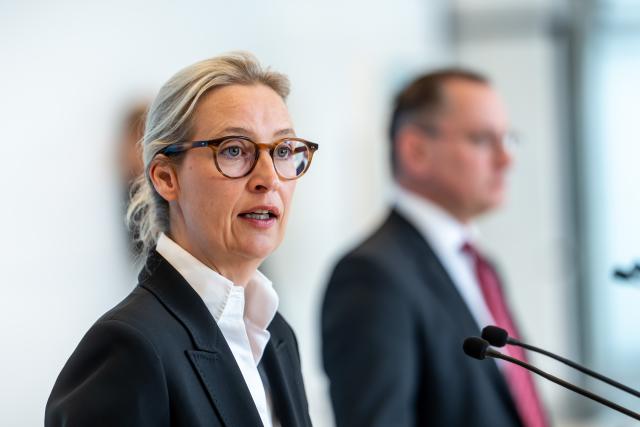 24 March 2026, Berlin: Alice Weidel, Chairwoman and parliamentary group leader of the Alternative for Germany (AfD) party, gives a press statement before the parliamentary group meeting in the German Parliament (Bundestag). Photo: Michael Kappeler/dpa
