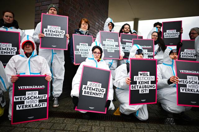 25 March 2026, Lower Saxony, Vechta: Participants with banners and posters protest against the CO2 stunning of pigs, after the filing of a lawsuit by the Lower Saxony Animal Welfare Association. Photo: Sina Schuldt/dpa