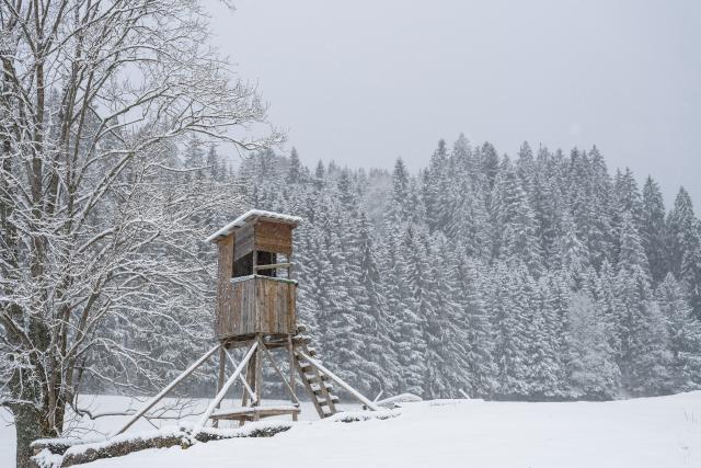 26 March 2026, Baden-Wuerttemberg, Linach: A hunting blind stands in Linach (Schwarzwald-Baar district) amid the snow-covered landscape. Photo: Silas Stein/dpa