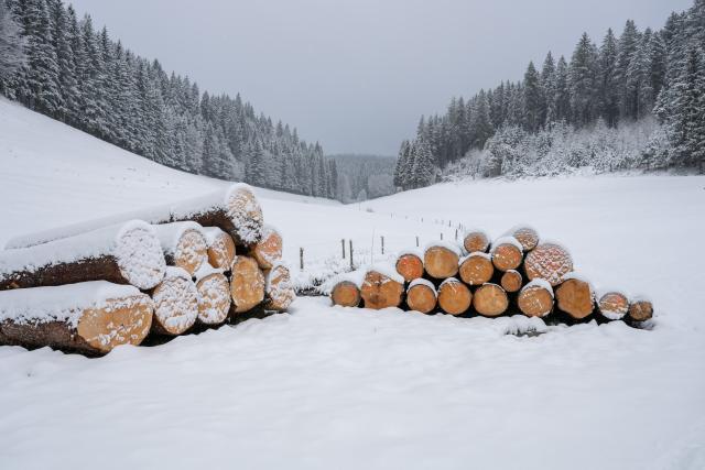 26 March 2026, Baden-Wuerttemberg, Linach: Piles of wood lie in Linach (Schwarzwald-Baar district) amid the snow-covered landscape. Photo: Silas Stein/dpa
