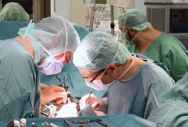 FILED - 20 March 2019, Saxony, Leipzig: At the transplant center at the University Hospital, a kidney is being transplanted into a recipient. Photo: Waltraud Grubitzsch/dpa-Zentralbild/dpa