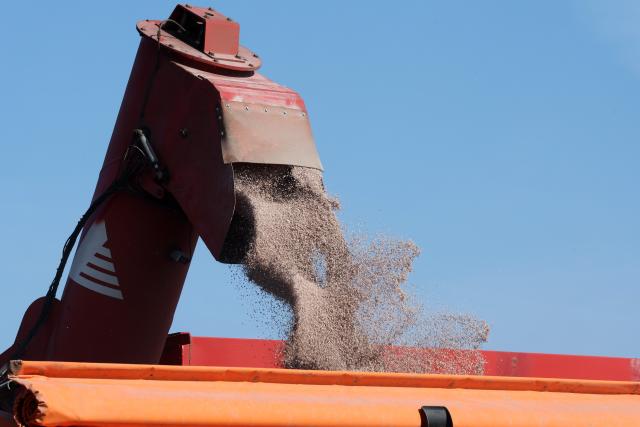 FILED - 19 March 2026, Mecklenburg-Western Pomerania, Neubukow: Fertilizer Kornkali is loaded into a fertilizer spreader from a transfer wagon (above) of Agrargenossenschaft Hellbach Neubukow e.G. in preparation for the subsequent cultivation of potatoes. Photo: Bernd Wüstneck/dpa