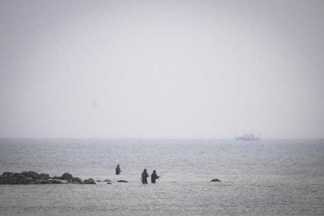 28 March 2026, Mecklenburg-Western Pomerania, Boltenhagen: The "Uecker" (R), a boat belonging to the Water Police, is sailing along the Baltic Sea coast off Boltenhagen. A humpback whale stranded for days off Germany's Baltic coast has gotten stuck on another sandbank, a Greenpeace spokeswoman says. Photo: Philip Dulian/dpa