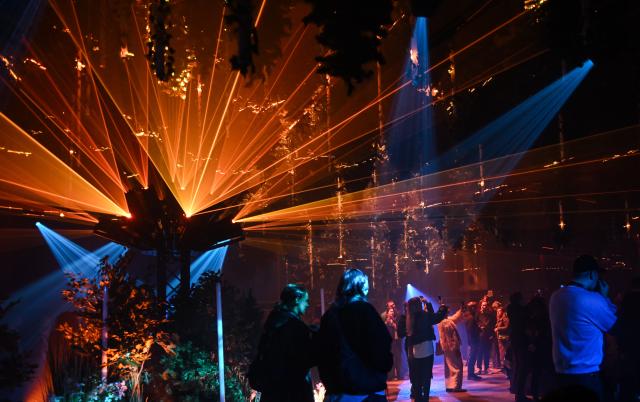 01 April 2026, Berlin: Visitors view the light installation "Forest Seasons" during the Dark Matter exhibition. Berlin-based light and media artist Christopher Bauder transforms the Transformator-Kunsthalle into a walk-through forest that changes with the seasons. Photo: Britta Pedersen/dpa - ACHTUNG: Nur zur redaktionellen Verwendung im Zusammenhang mit der aktuellen Berichterstattung über die genannte Lichtinstallation